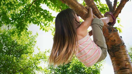 Ein Mädchen mit langen Haaren klettert fröhlich in einem Baum, umgeben von üppigem grünem Laub.