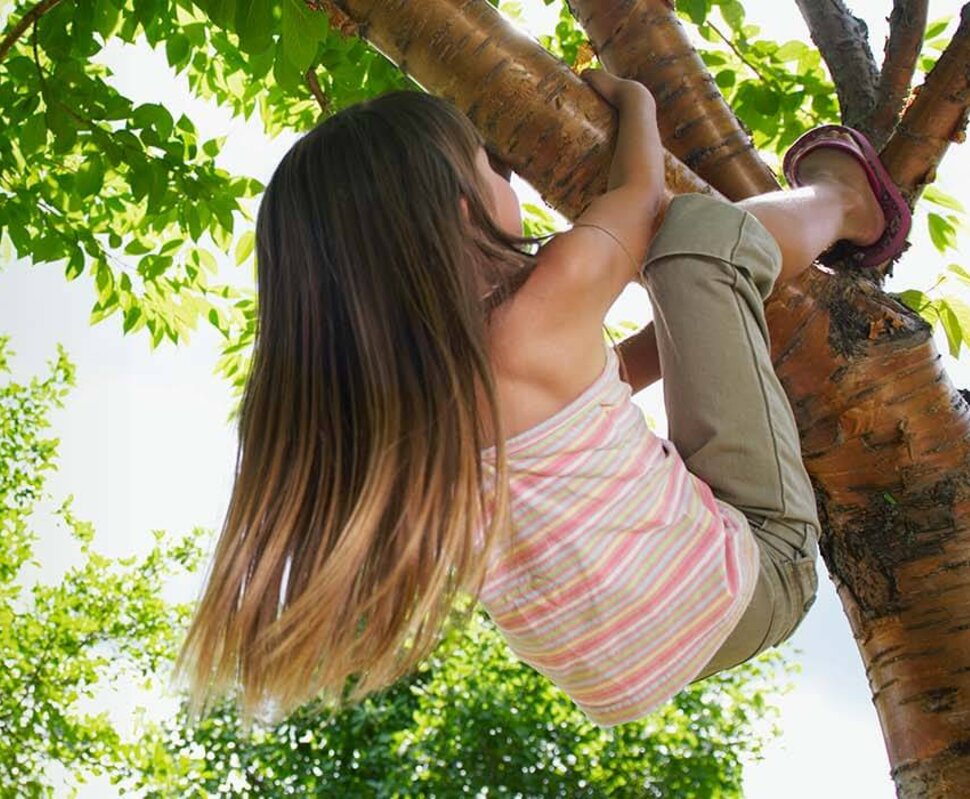 Ein Mädchen mit langen Haaren klettert fröhlich in einem Baum, umgeben von üppigem grünem Laub.