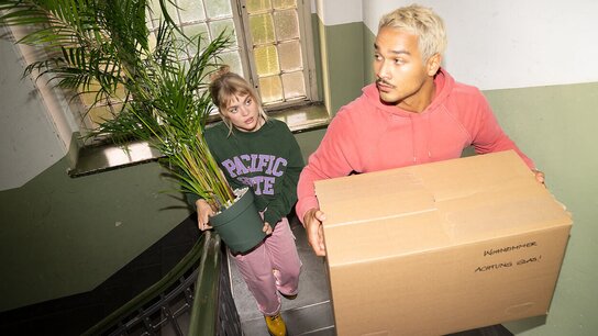 Zwei Personen tragen Umzugsgut die Treppe hinauf, eine mit einer Pflanze, die andere mit einem Karton.