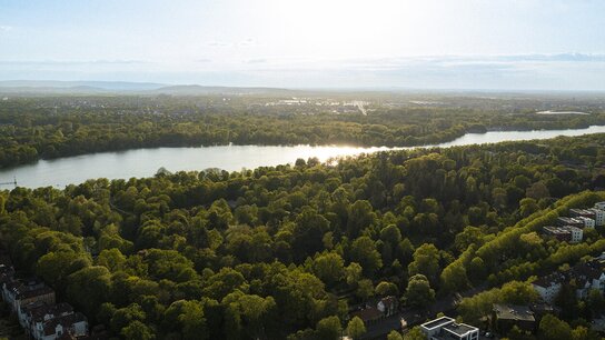 Luftaufnahme eines Flusses, umgeben von üppigem Grün und Häusern, mit Sonnenlicht, das über die Landschaft strahlt.